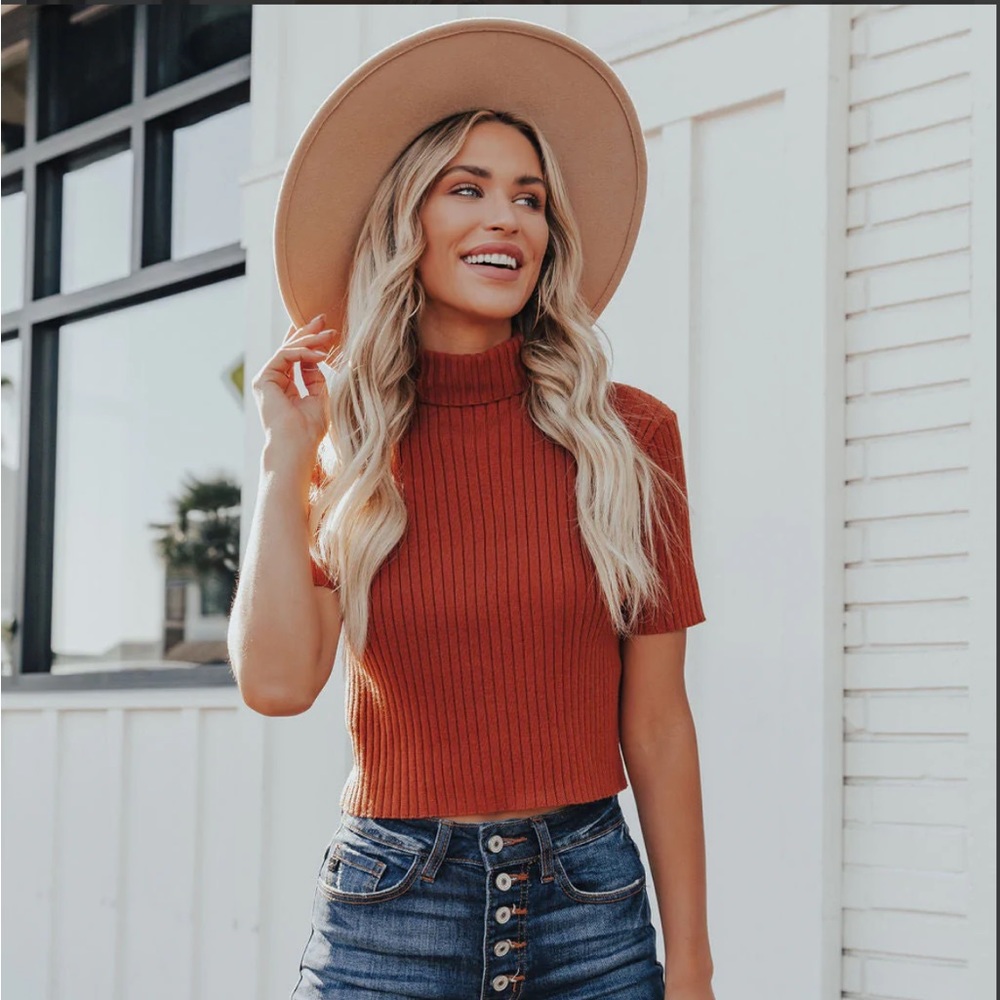 Vici Collection Janice Short Sleeve Crop Turtleneck